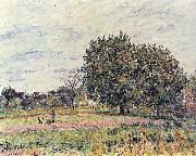 Alfred Sisley, Nussbaume bei untergehender Sonne, Anfang Oktober